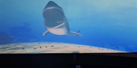 Powiększ grafikę: Uczniowie podczas seansu w kinie sferycznym.