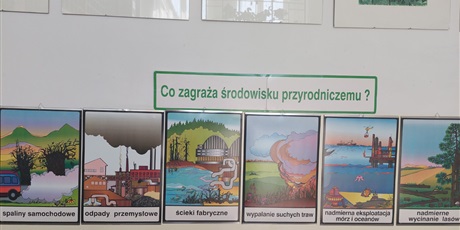 Powiększ grafikę: obchody-dnia-ochrony-srodowiska-446580.jpg