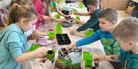 Powiększ grafikę: Uczniowie sadzą rosliny w doniczkach w sali lekcyjnej.