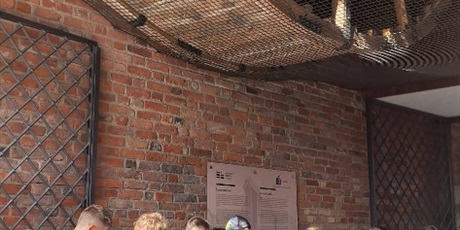 Powiększ grafikę: spacer-edukacyjny-698229.jpg