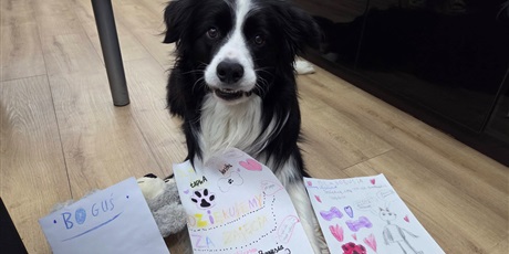 Powiększ grafikę: Pies oraz podziękowania od uczniów.