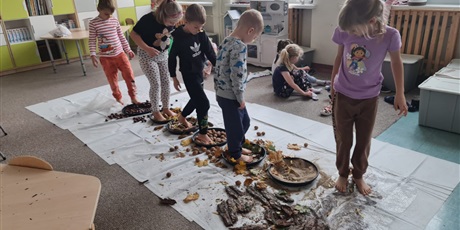 Powiększ grafikę: Na podłodze misy z różnymi nasionami ustawione w jednej linii. Uczniowie  pokonują "ścieżkę sensoryczną".