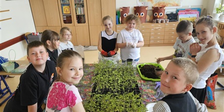 Powiększ grafikę: warsztaty-przyrodnicze-od-nasionka-do-owocu-612794.jpg