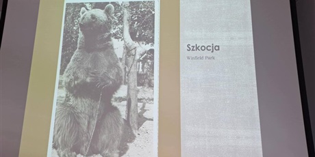 Powiększ grafikę: Slajd przedstawiający niedźwiedzia - bohatera lektury