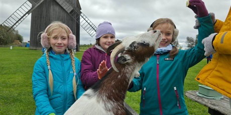 Powiększ grafikę: Uczniowie oglądają zwierzęta zagrodowe podczas wycieczki.