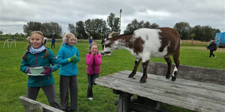 Powiększ grafikę: Uczniowie oglądają zwierzęta zagrodowe podczas wycieczki.