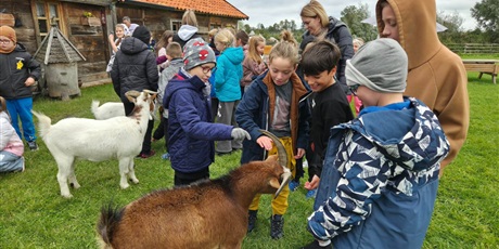 Powiększ grafikę: Uczniowie oglądają zwierzęta zagrodowe podczas wycieczki.