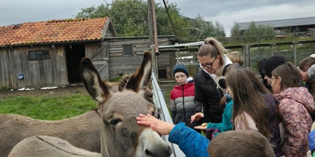 Powiększ grafikę: Uczniowie oglądają zwierzęta zagrodowe podczas wycieczki.