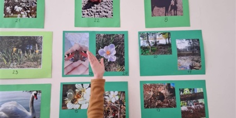 Powiększ grafikę: wyniki-konkursu-wiosna-w-obiektywie-617850.jpg