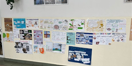 Powiększ grafikę: Prezentacja prac biorących udział w konkursie na korytarzu szkolnym.