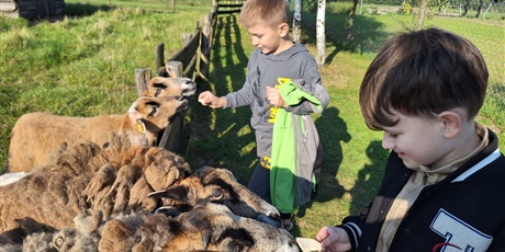 Powiększ grafikę: Uczniowie oglądający zwierzęta  w zagrodzie.