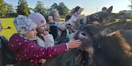 Powiększ grafikę: Uczniowie oglądający zwierzęta  w zagrodzie.