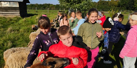 Powiększ grafikę: Uczniowie oglądający zwierzęta  w zagrodzie.