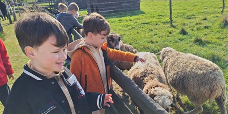 Powiększ grafikę: Uczniowie oglądający zwierzęta  w zagrodzie.
