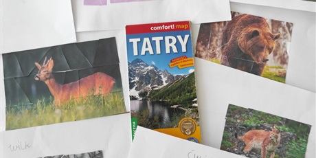 Powiększ grafikę: Prace plastyczne - zwierzęta i rośliny Tatr.